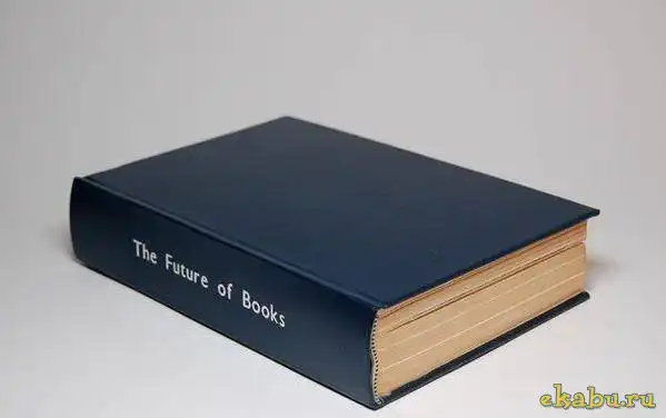 Книга будущего