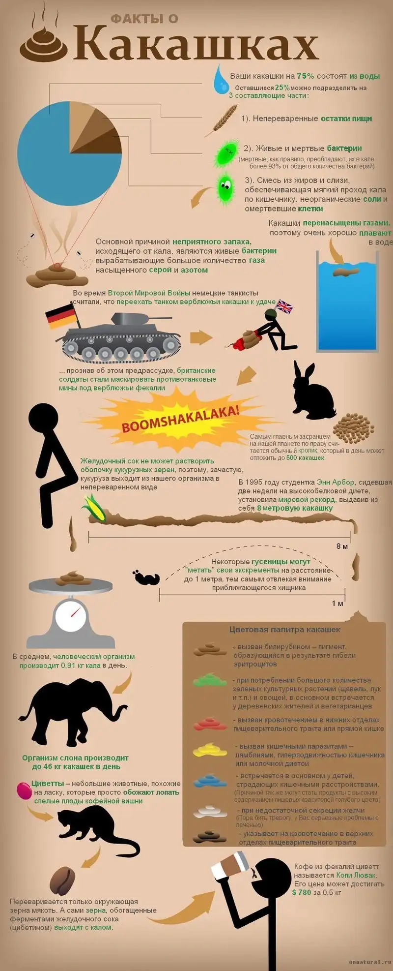 Бесценные факты о какашках