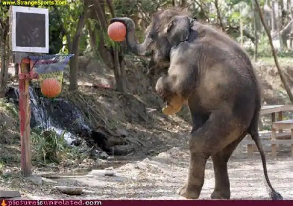 Странные фотографии. Часть 6