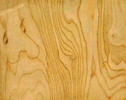 Подборка смешных, не очень и просто красивых фотографий (73 фото)