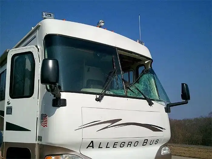 Дикая индейка испортила путешествие