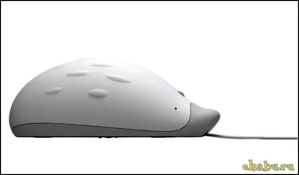 Компьютерный ежик