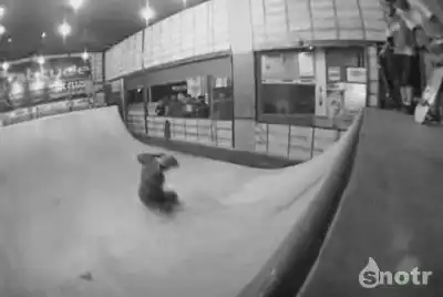 Без ног... на скейте