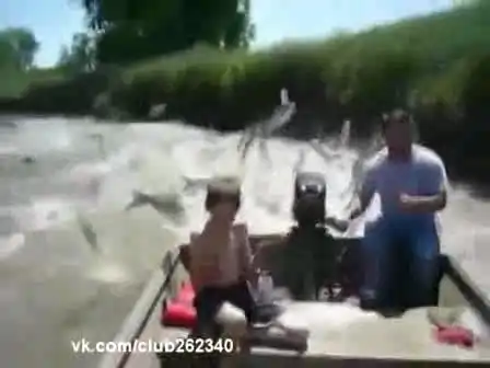 Рыбная атака