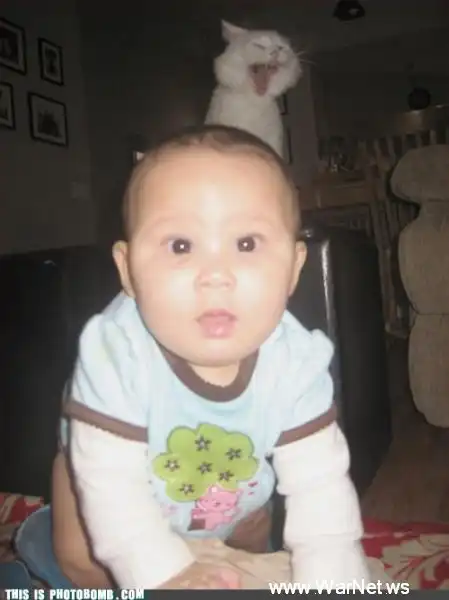 Подборка смешных, не очень и просто красивых фотографий