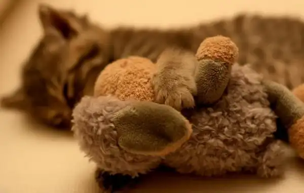 Позитивная фотоподборка