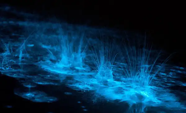 15 самых необычных явлений природы