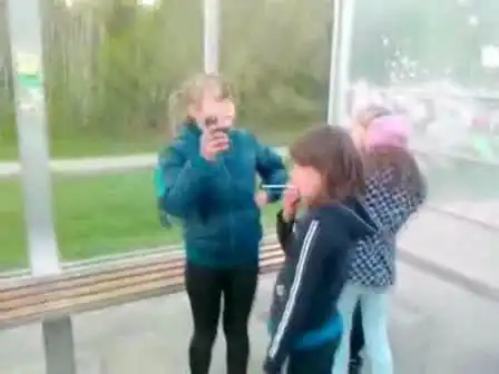 Чоткие тёлки)))