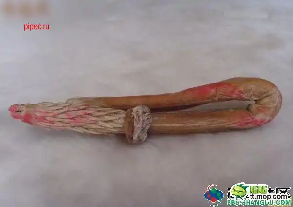 Лучший талисман для китайца - пенис тигра!