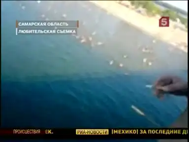 Смертельный прыжок