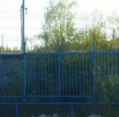 Неудачно перелез через забор