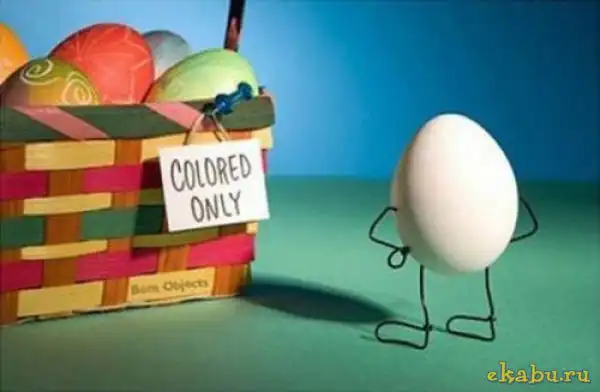 Тайная жизнь яиц