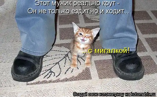 КотЭматрикс-Не любишь  котЭ ЛЕСОМ!!!