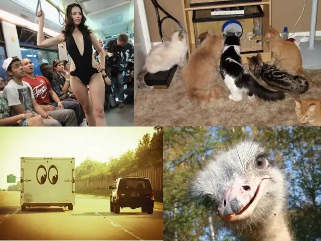 Прикольные картинки