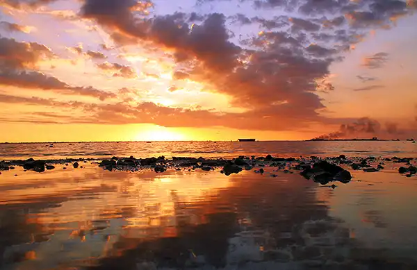 Фотограф под ником muha