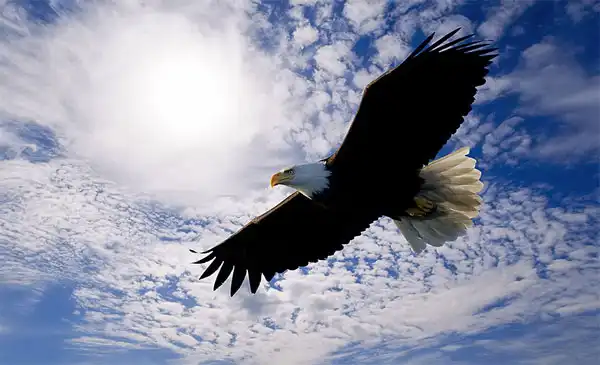 Blet- Два Новых Трека ( томск)