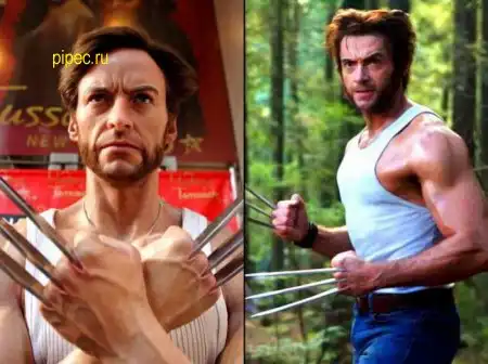 Звёзды и их копии...