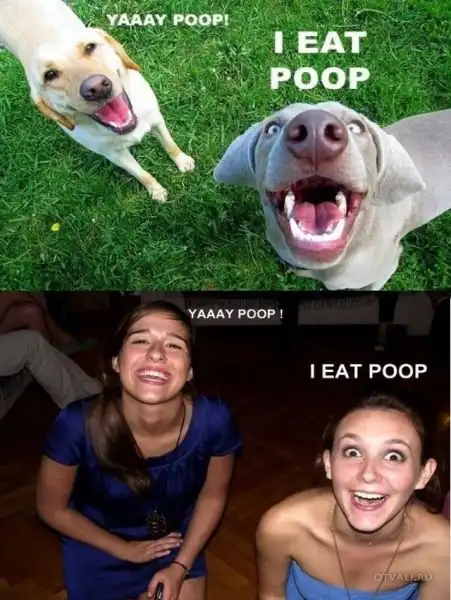 Подборка всего-всего. МНОГО.