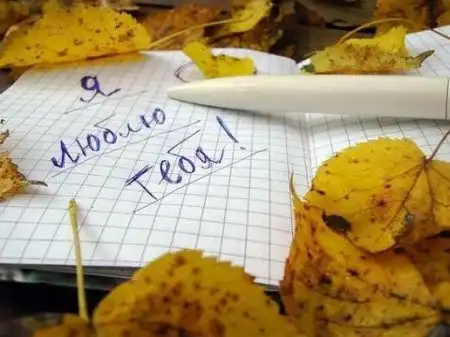 Любовь - как много в этом слове...