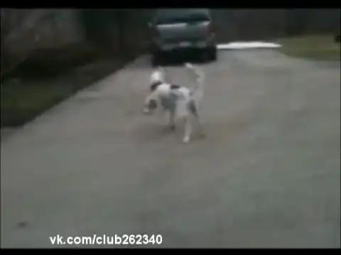 Оскар за актерскую игру!