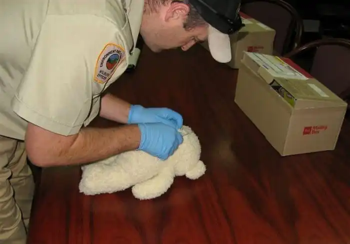 Контрабанда в детской плюшевой игрушке