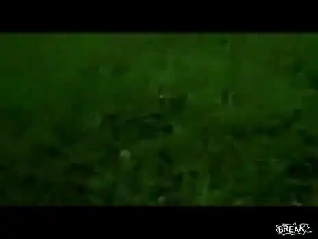 Неудачный старт