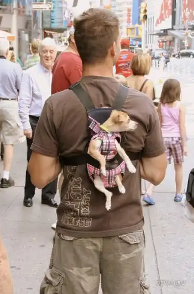 Нью-Йорк, Нью-Йорк!