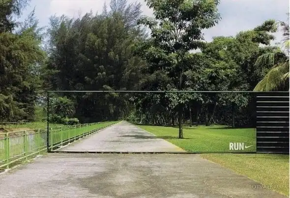 Подборка без тематики на сегодня.