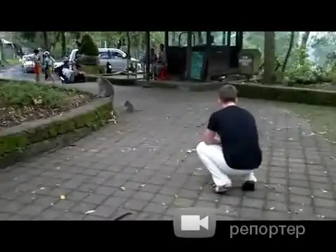 Она тебя чешет!:D