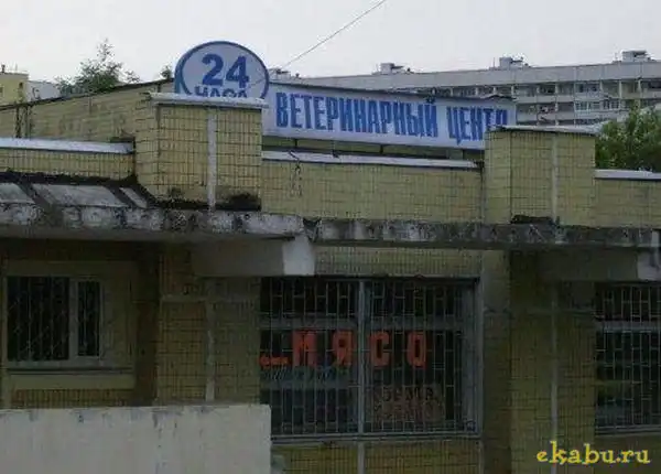 Медики шутят