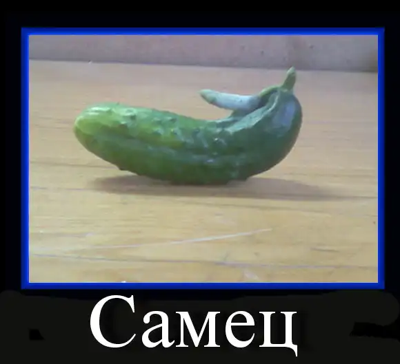 Демотиваторы от Yait (конкурс)