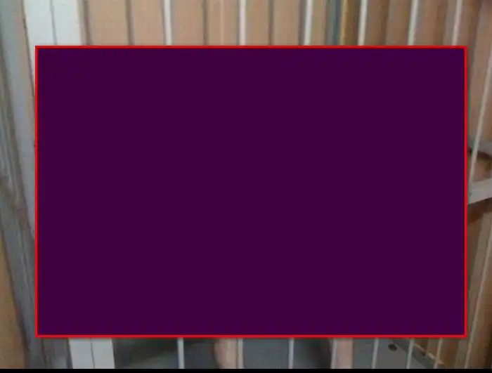 Этого парня арестовали за вандализм. Смотрим, за какой именно.