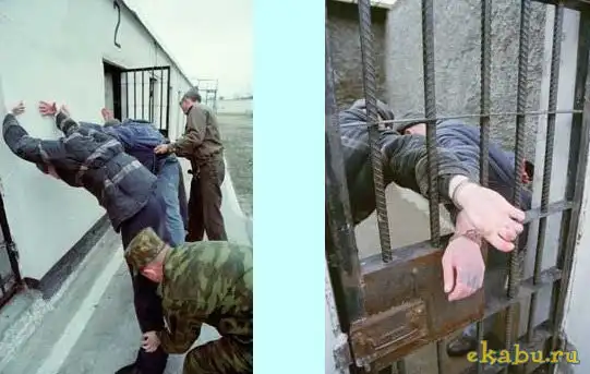 Рыбак рыбака