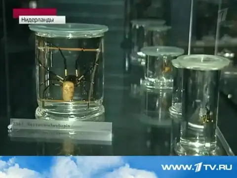 Бронежилет из человеческой кожи.