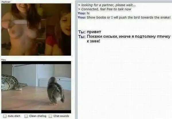 Приколы из соц. сетей 2