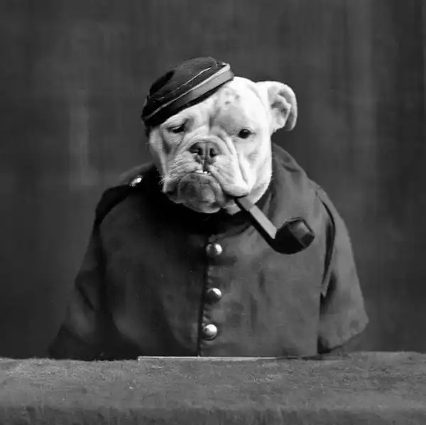 WTF в черно-белом. Часть 11