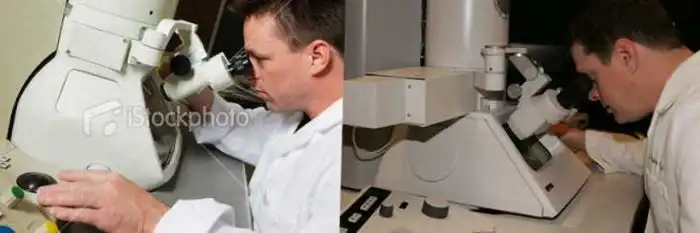 Стокинг - новое интернет-развлечение