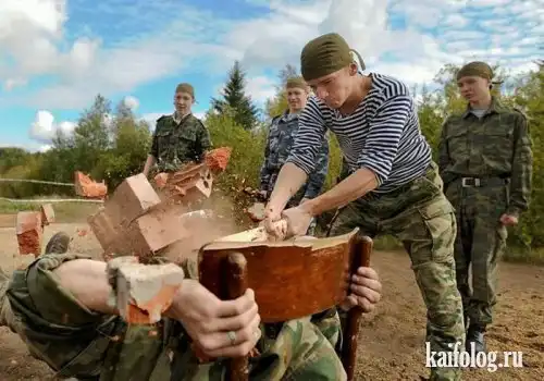 Приколы и маразмы армии