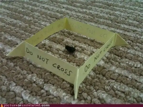 Странные и необъяснимые картинки