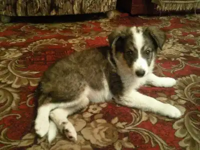 Девчоночка-прелесть ищет любящую семью!