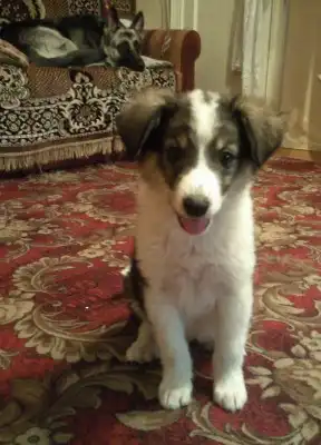 Девчоночка-прелесть ищет любящую семью!