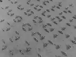 Полиция Рима отмечает юбилей