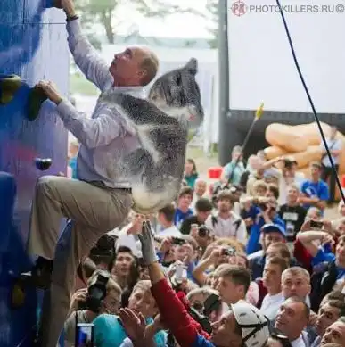 Путин на Селигере. Фотожабы.