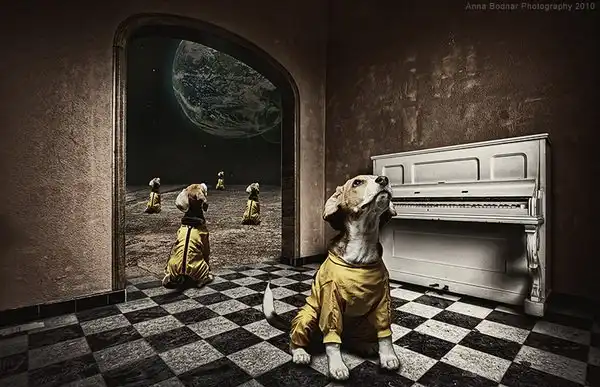 Фотофантазии...