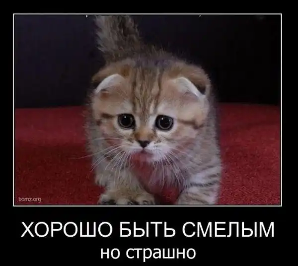 Демотиваторы от DezaeR 3(конкурс)