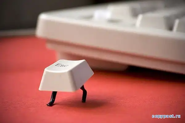 Фотоподборочка!