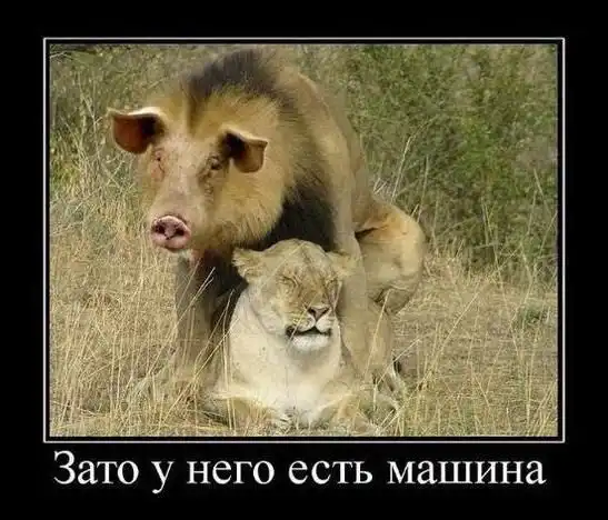 Всякие демы