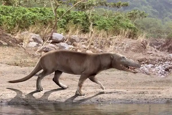 Там на неведомых дорожках