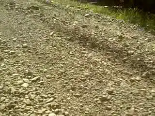 Первый автобан в Томской области.