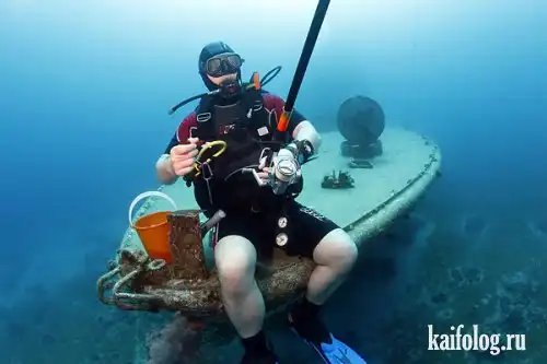 Фотоподборка